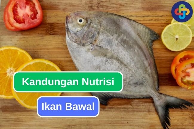 Inilah Nutrisi Yang Terkandung Pada Ikan Bawal 